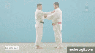 <p>Minor outer reaping throw </p>