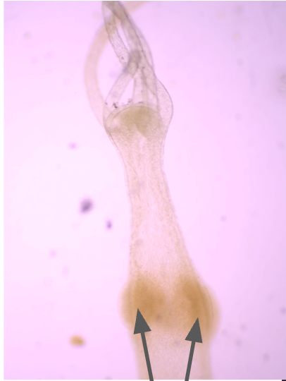 <p>What is this?</p>