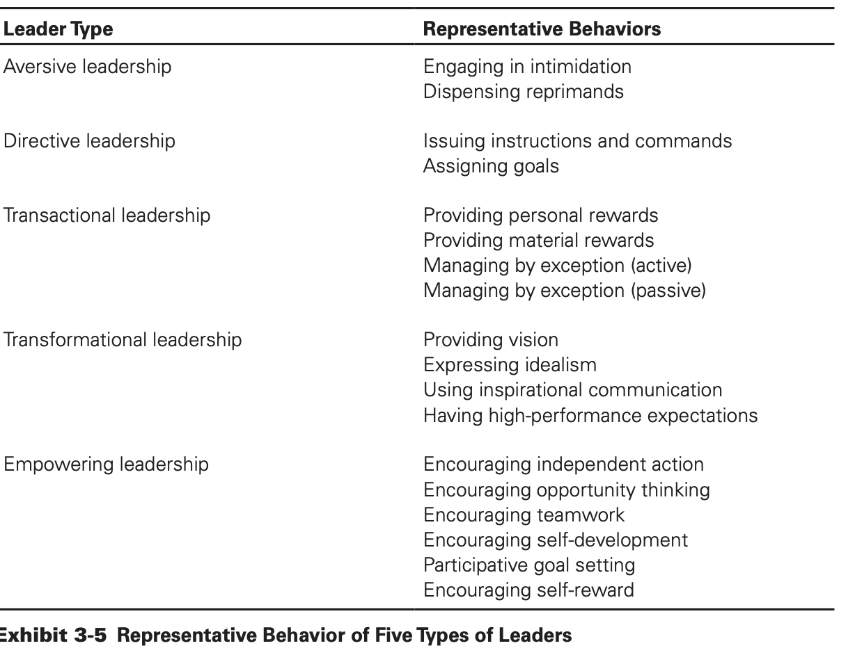 <p>shared purpose, social support, voice and external coaching. Relates to group trust which enhances performance </p>