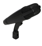 <p>What’s the mic type?</p>