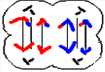 <p>______ II</p><p>Chromosomes (sister chromatids) migrate</p><p>separately to each pole.</p>