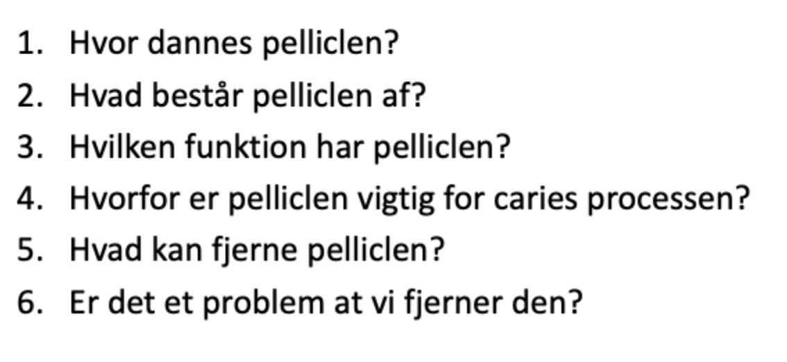 <p>Forklar: Pelliclen</p>