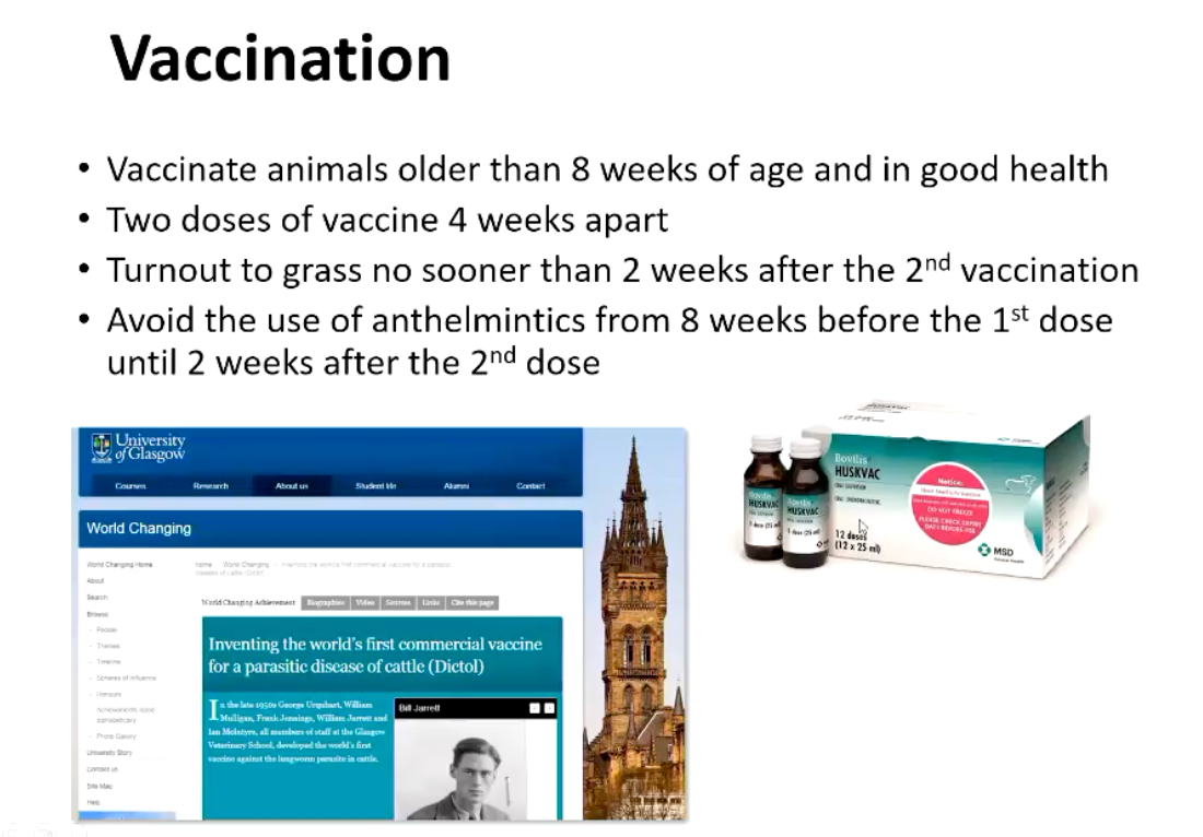 <ul><li><p>Quite expensive but immunity for life</p></li><li><p>After the completion of the vaccination course, calves should graze lightly infected pastures in order to naturally boost immunity</p></li><li><p>A single dose of vaccine can be given prior to turnout in subsequent years, if required</p></li></ul><p></p>