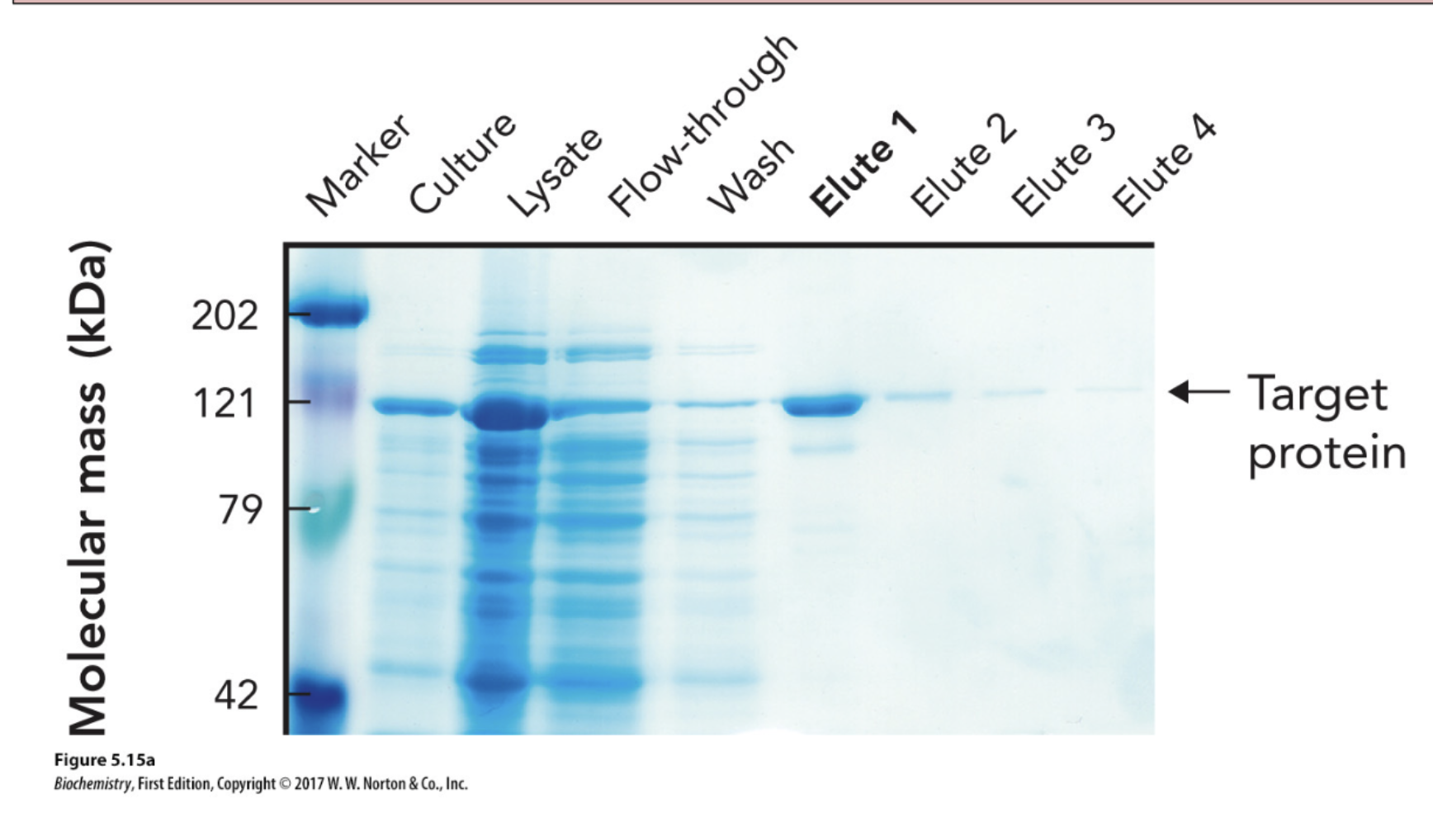 <p>Explain how to read this chart</p>