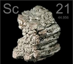 <p>21</p>