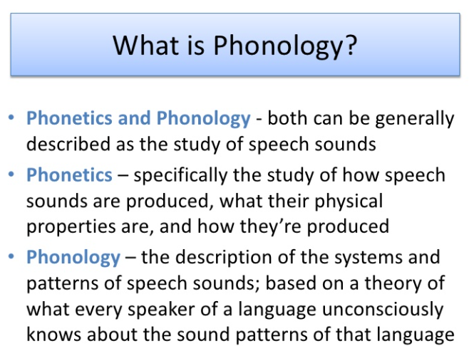 <p><span style="color: mediumseagreen !important;"><strong>Phonology</strong></span><span> refers to the actual&nbsp;</span><strong><u>sound</u></strong><span>&nbsp;of speech</span></p>