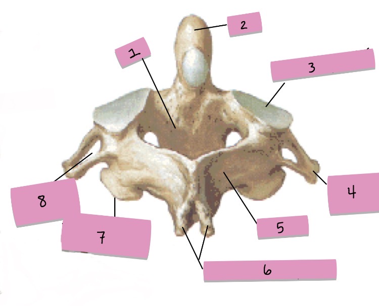 <p>What is 7 pointing to?</p>