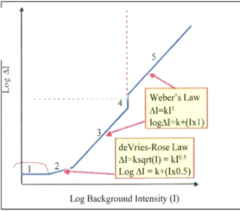 <p>When looking at three on the following graph, what is this region called?</p>