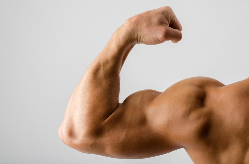 <p>What are three kinds of muscle?</p>