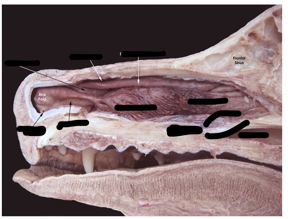 <p>Name those parts</p>