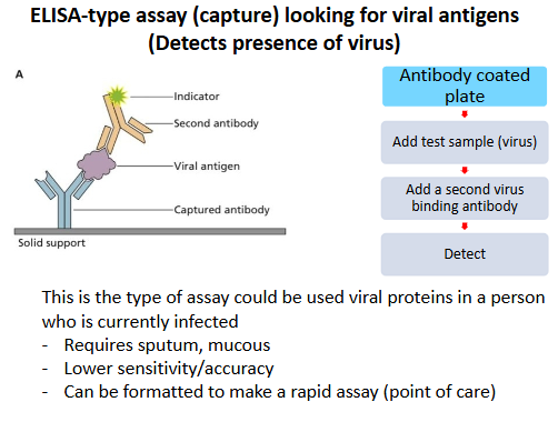 <p>Looks for antibodies to a virus in serum, does not direct virus itself. </p>