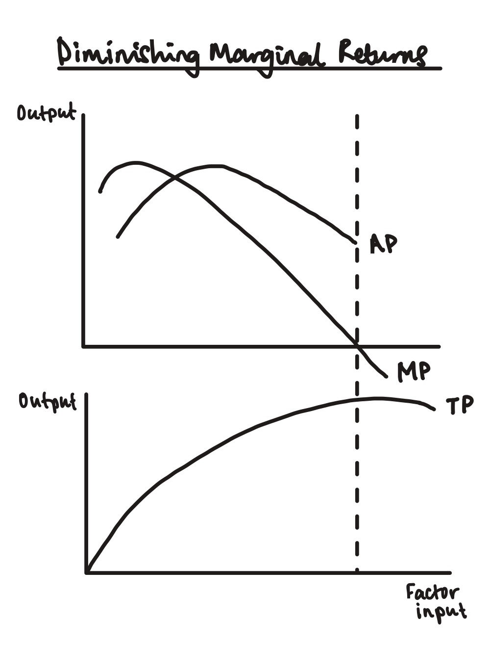 <p>what causes TP to fall?</p>