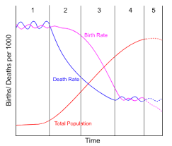 <p><span>describes the shift in population mortality causes from infectious diseases to chronic, degenerative diseases as societies develop</span></p>