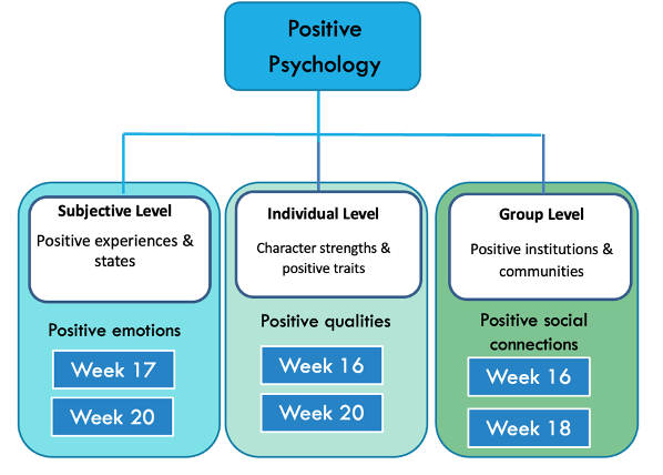 <p>Subjective level - pos experiences and states </p><p>Induvidual level - character strengths and pos traits </p><p>Group level - pos institutions and communities </p>