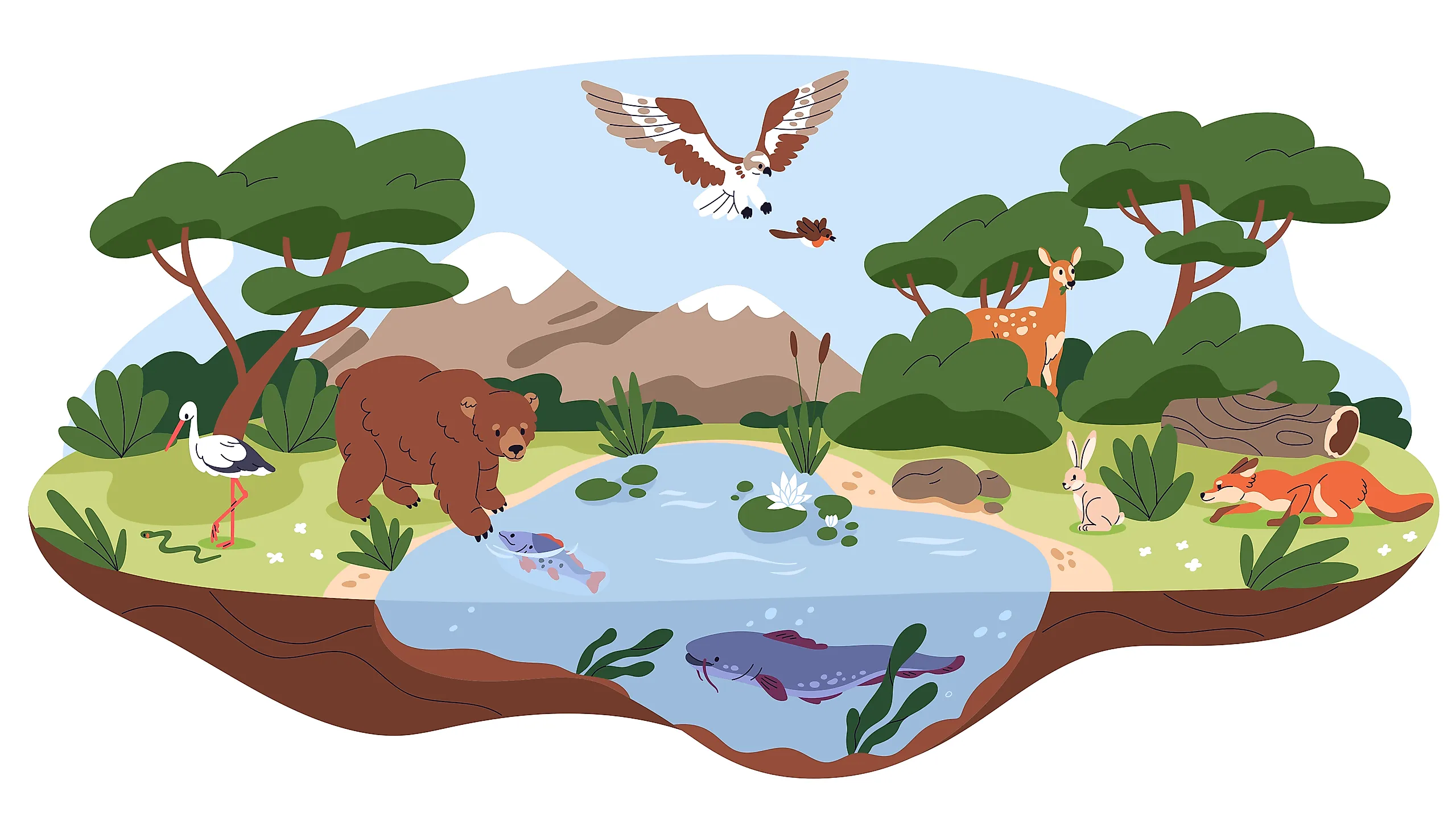 <p>what is biosphere?</p>