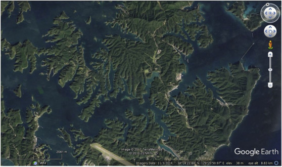 <p>what’s this</p>