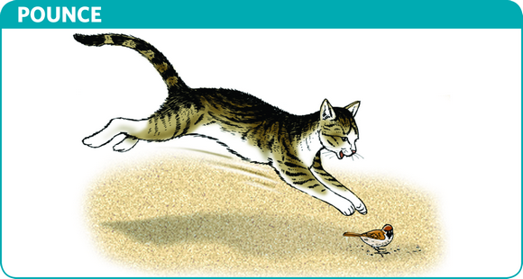 <p>ambush/treachery</p>