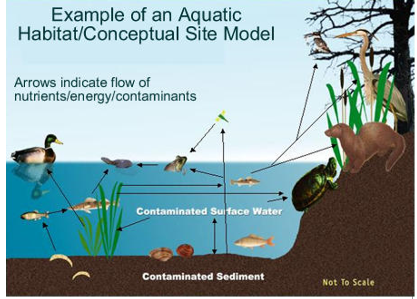 <p>Koks čia modelis?</p>