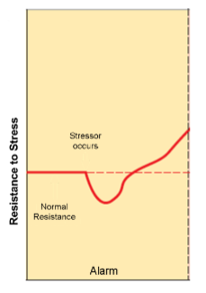 <ul><li><p>many stressors involve only this stage</p></li><li><p>Mobilize resources – inhibit digestion, increase HR/BP/breathing</p></li><li><p>Heightened sensory acuity and memory</p><ul><li><p>Activation of SNS and NE and E</p></li><li><p>Activation of HPA axis and release of cortisol</p></li></ul></li></ul><p></p>
