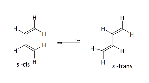 <p><span>Explain the S-Cis Conformation of the Diene</span></p>