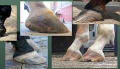 <p>what do underrun heels lead to</p>