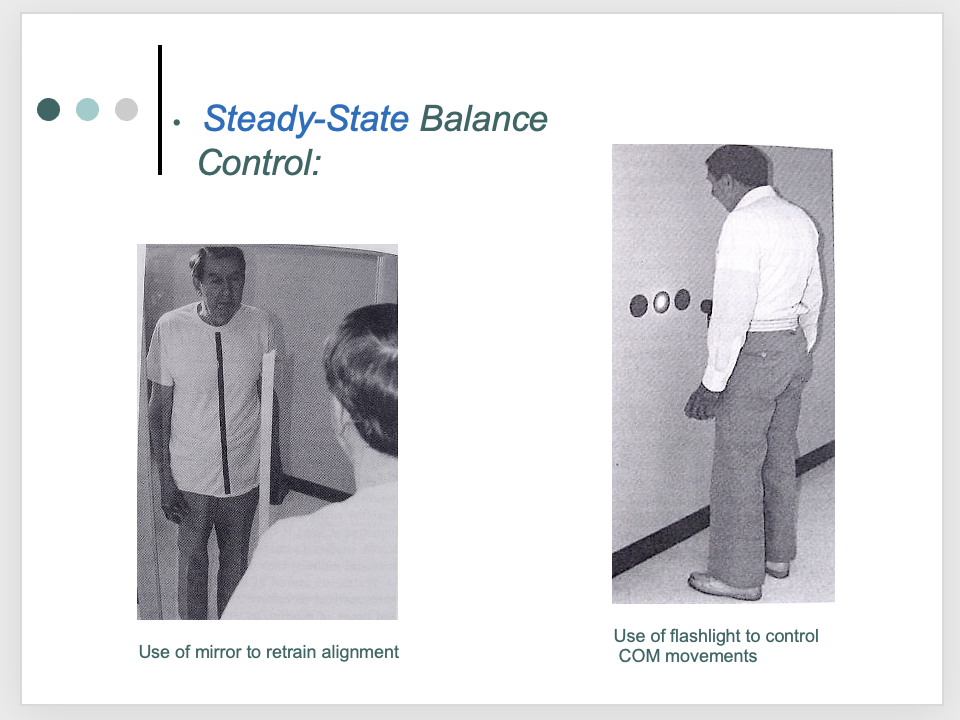 <p><span>These are great “low tech” examples of balance training methods.</span></p>