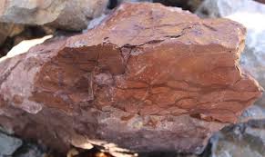 <p>Vápenec Mikrytový / sediment / kal + tmel</p>