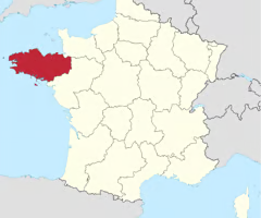 <p>Region(phrase négative)(aller)(nous)</p>