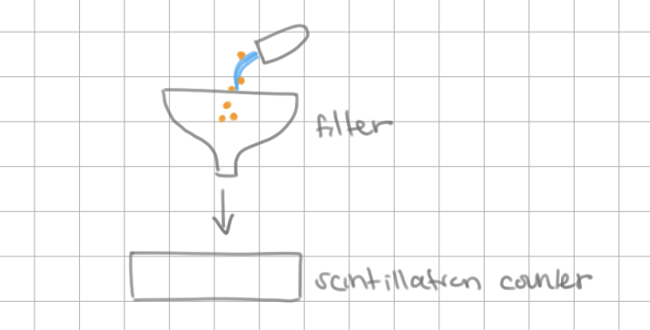 <p>Genetic Code Experiment Details</p><ol start="6"><li><p>Capture precipitated polypeptides in a <u>filter</u></p></li><li><p>Count radioactivity on filter in a <u>scintillation counter</u></p></li><li><p>Calculated amount of radiolabeled amino acids in precipitated polypeptides</p></li></ol><p></p>