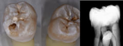 <p>What is the classification?</p>