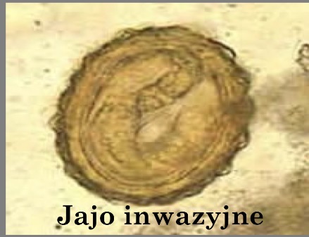 <p>czyje to</p>