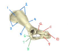 <p>2</p>