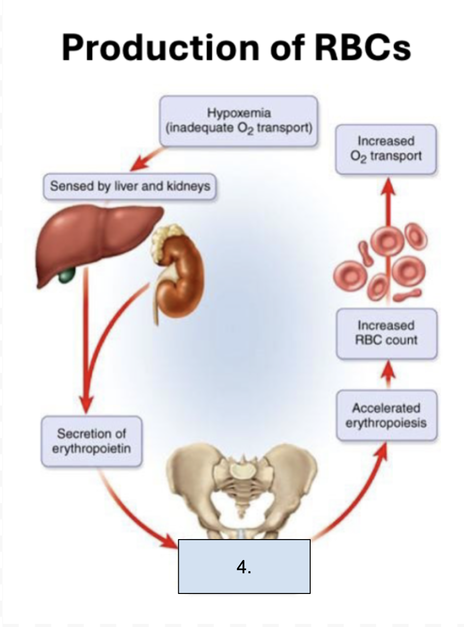 <p>What is happening in this step?</p>
