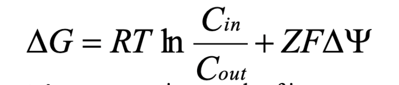 <ul><li><p>Cin, Cout = concentration of substrate inside vs. outside cell</p></li><li><p>Z = charge of ion</p></li><li><p>F = Faraday’s constant</p></li><li><p>Delta psi = membrane potential</p></li><li><p>R = ideal gas constant</p></li><li><p>T = temp in Kelvin</p></li><li><p>If Cout > Cin, 1st term makes delta G more negative (favorable)</p></li><li><p>If delta psi is negative and Z is positive, 2nd term makes delta G more negative (favorable)</p></li></ul><p></p>