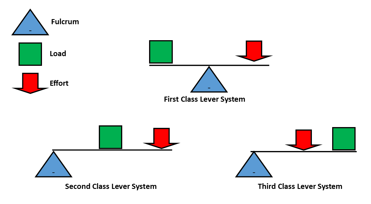 <p>3 different types of levers, chosen for their ability to produce the most mechanical advantage for a particular task. arrange the effort, load &amp; fulcrum in a different order</p><p><strong>first order:</strong> effort, fulcrum, load</p><p><strong>second order: </strong>effort, load, fulcrum</p><p><strong>third order: </strong>fulcrum, effort, load</p>