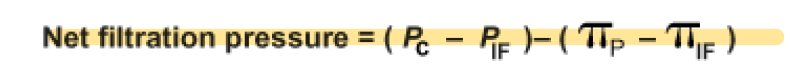 <p>Equation for net filtration pressure:</p><p></p><p><span style="color: rgb(255, 96, 96);"><strong>In the arterial end:</strong></span></p><ul><li><p>P<sub>c</sub> (capillary hydrostatic pressure) = 35 mmHg</p></li><li><p>P<sub>IF</sub> (interstitial fluid hydrostatic pressure) = 0 mmHg</p></li><li><p>$$\pi$$<sub>P</sub> (osmotic pressure due to plasma protein concentration inside capillaries) = 26 mmHg</p></li><li><p>$$\pi$$<sub>IF </sub>(osmotic pressure due to plasma protein concentration in interstitial fluid) = 3 mmHg</p></li></ul><p><strong>Net filtration pressure here is 10 mmHg, promoting filtration.</strong></p><p></p><p><span style="color: rgb(74, 140, 255);"><strong>In the venous end:</strong></span></p><ul><li><p>P<sub>c</sub> (capillary hydrostatic pressure) = 15 mmHg</p></li><li><p>P<sub>IF</sub> (interstitial fluid hydrostatic pressure) = 0 mmHg</p></li><li><p>$$\pi$$<sub>P</sub> (osmotic pressure due to plasma protein concentration inside capillaries) = 26 mmHg</p></li><li><p>$$\pi$$<sub>IF </sub>(osmotic pressure due to plasma protein concentration in interstitial fluid) = 3 mmHg</p></li></ul><p><strong>Net filtration pressure here is -10 mmHg, favoring reabsorption.</strong></p><p></p>
