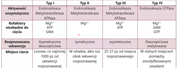 <p>Typy E restrykcyjnych</p>
