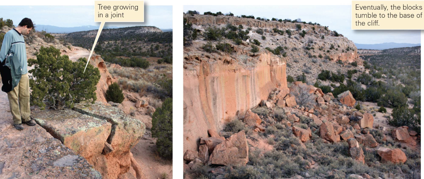<p>form of biotic, mechanical weathering where plant and tree roots grow into tiny cracks and fissures in rocks or concrete<span> where as the roots expand and thicken in their search for water and nutrients, they exert immense pressure, wedging the rock apart and causing it to break</span></p>