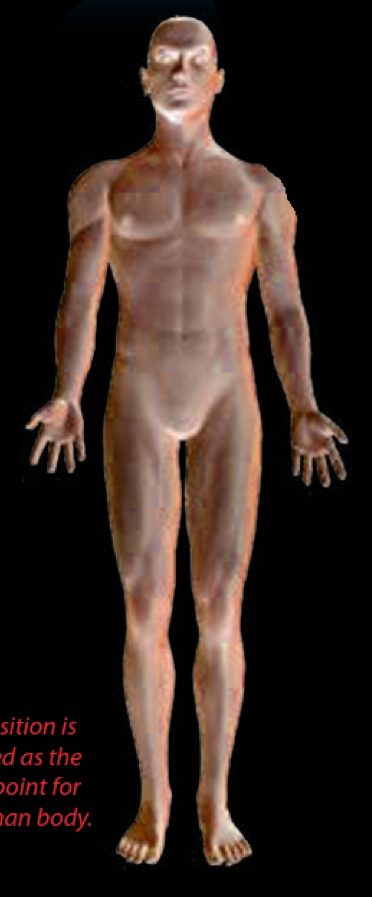 <p>Universally accepted position as the starting reference point for describing the human body</p><ul><li><p>standing upright</p></li><li><p>facing forward</p></li><li><p>arms hanging at the sides</p></li><li><p>palms facing forward</p></li><li><p>legs feet toes parallel</p></li></ul><p></p>
