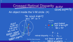 <p>An object inside the V-M circle will have (positive/negative) retinal disparity</p>