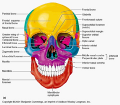<p>CT facial bones:</p><p>- injuries can be seen on CT head; however, CT facial bones provides more views and better diagnostics</p><p>- allows for pre-operative planning</p><p>Panorex:</p><p>- series of x-rays used to evaluate isolated mandible, dental, or alveolar ridge fractures</p><p>- more often used post-operatively for surgical planning (not done in trauma bay)</p>