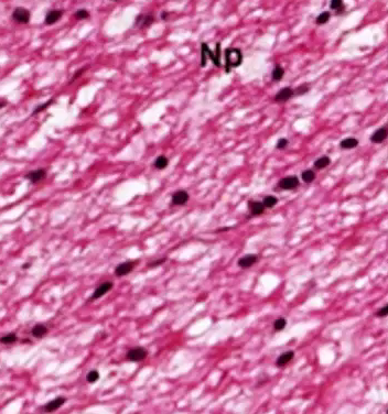 <p>what’s this showing?</p>