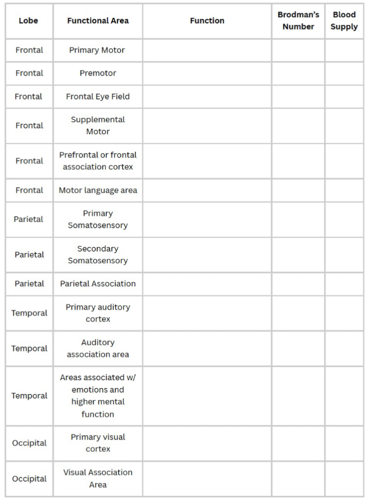 <p>Fill this out:</p>