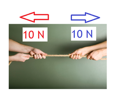 <p>- sum of all forces acting on an object is 0: F net=0</p>