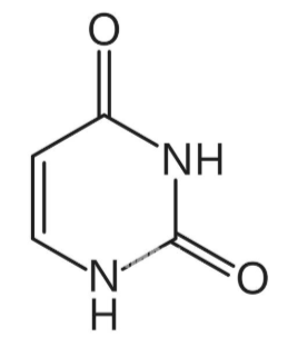 <p>What is the chemical name of Uracil (U)?</p>