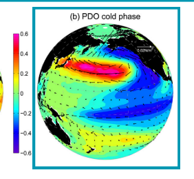 <ul><li><p>Lower than normal SST extends from North America towards, and across, equator</p></li><li><p>Slow down in Global Warming </p><ul><li><p>Due to more upwelling/mixing of water in the Pacific region</p></li><li><p>Cooler, so absorbs more heat from the atmosphere </p></li></ul></li><li><p>Horseshoe becomes a colder area, colder off the Western USA</p></li></ul><p></p>