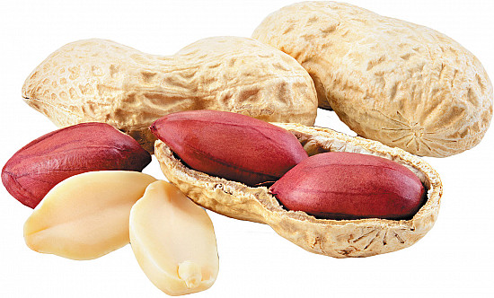 <p>Peanut</p>