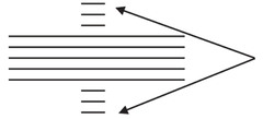 <p>The name of the lines that notes outside of the staff rest on.</p>