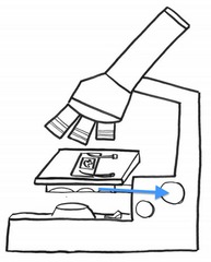 <p>Moves the stage up and down for focusing</p>
