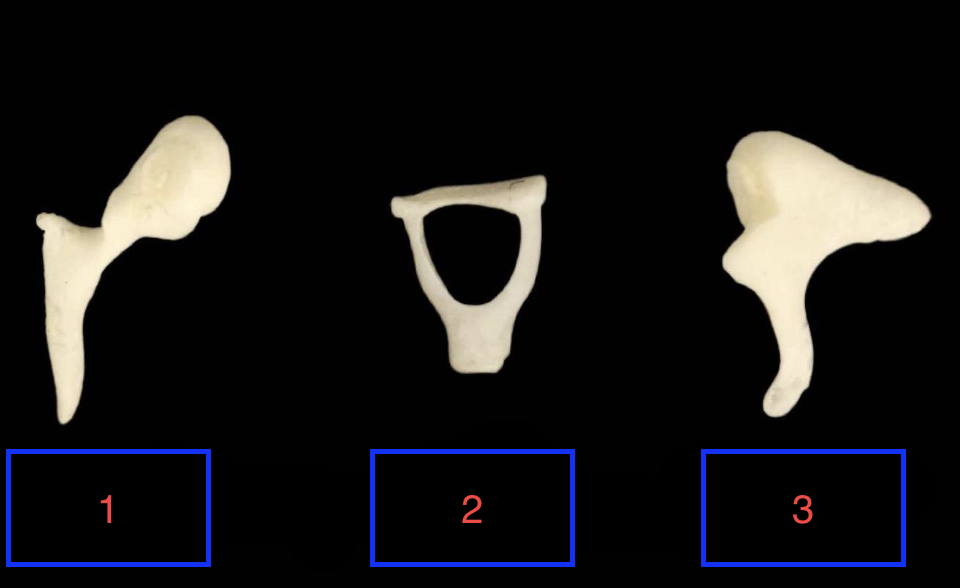 <p>1</p>